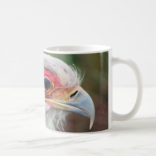 Secretary Bird of South Africa photo Coffee Mug (Right)