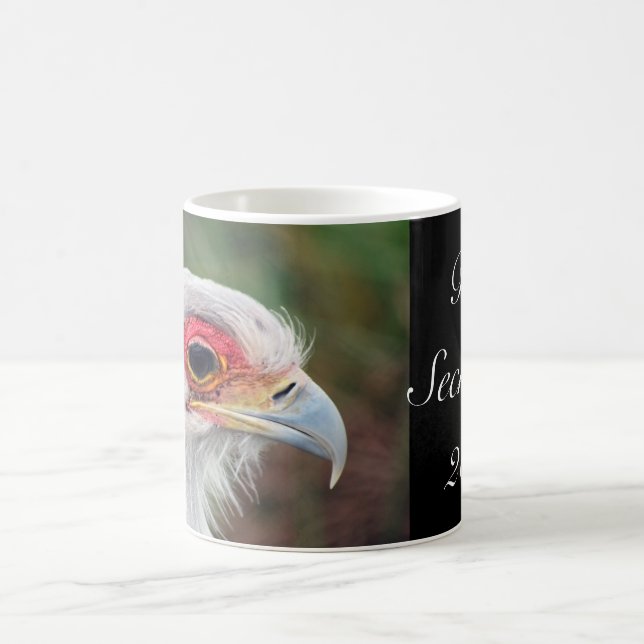 Secretary Bird of South Africa photo Coffee Mug (Center)