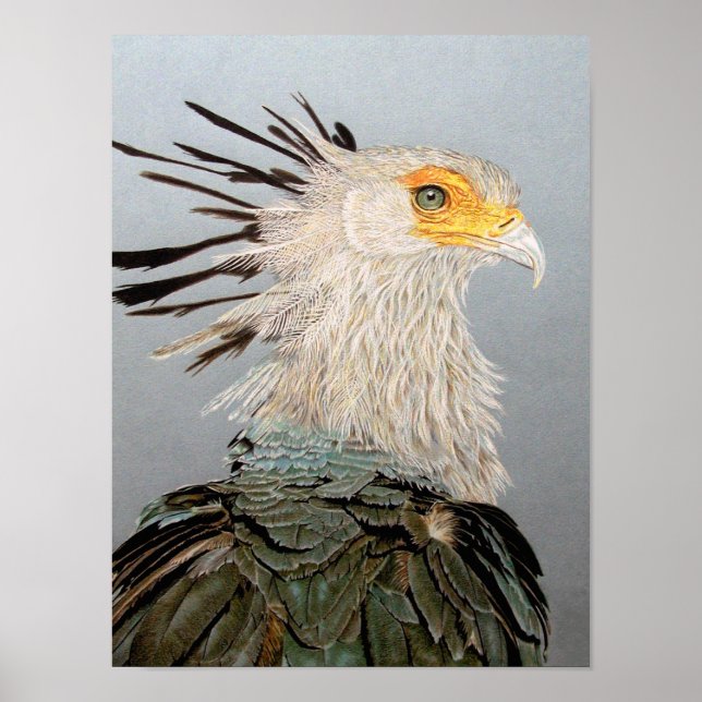 Secretary Bird Poster (Front)
