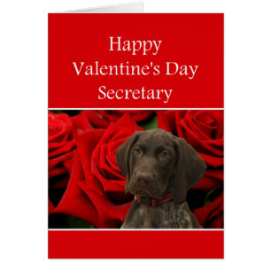 Secretary Glossy Grizzly Valentine Puppy Love Cards