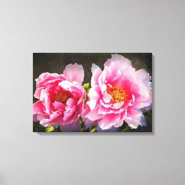 Secreted Away, Pink Peonies Canvas Print (Front)