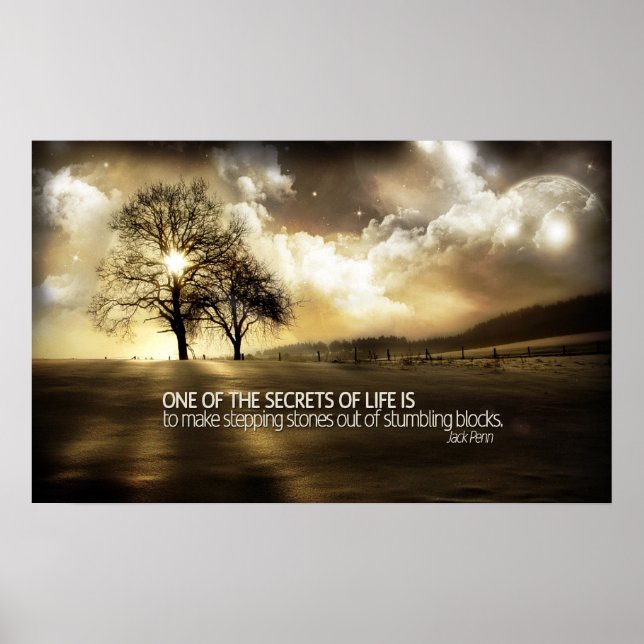 Secrets of Life Motivational Poster Print (Front)
