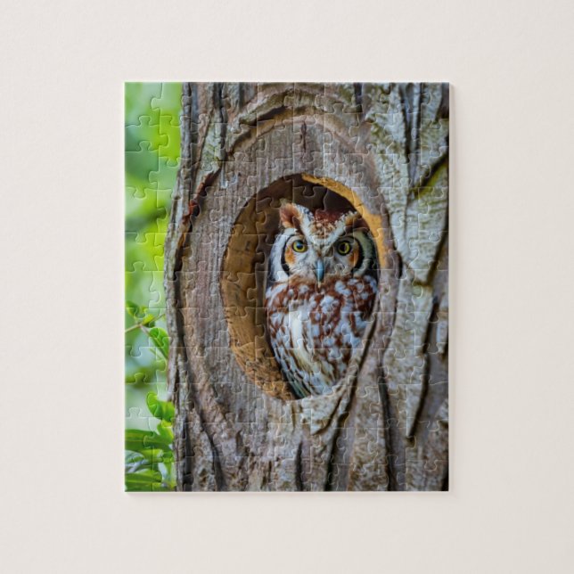 Secrets of the Owl's Tree Trunk Residence Jigsaw Puzzle (Vertical)