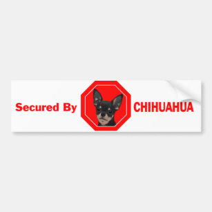 Secured by Chihuahua Bumper Sticker