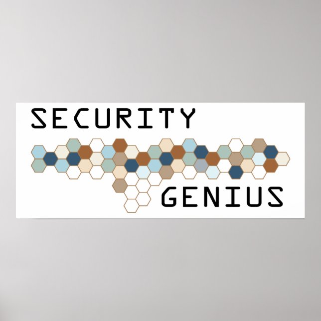 Security Genius Poster (Front)