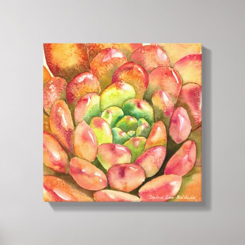 Sedeveria Pink Ruby by Debra Lee Baldwin Canvas Print