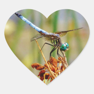 Sedge grass, and Dragonfly Heart Sticker