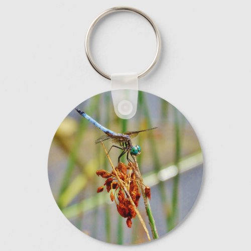 Sedge grass and Dragonfly Keychain