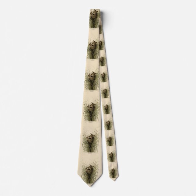Sedge Wren from Audubon's Birds of America Neck Tie (Front)