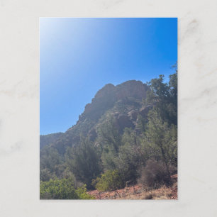 Sedona Arizona Red Rock  Postcard