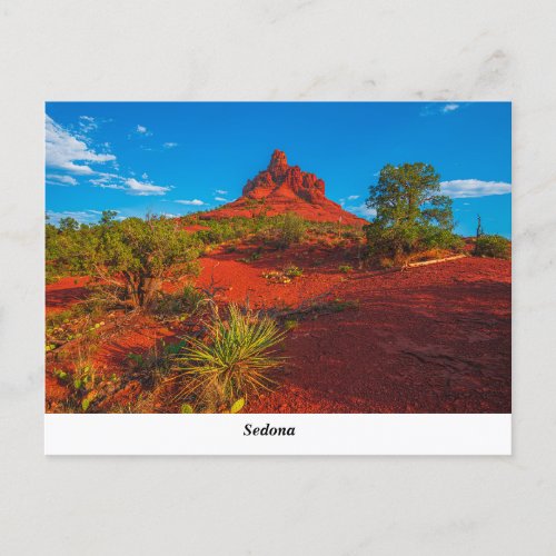 Sedona AZ Postcard