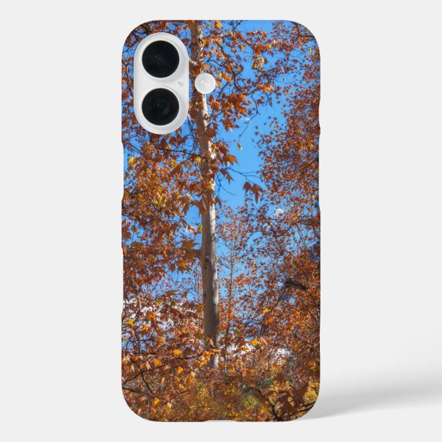 SEDONA SEASONING Oak Creek Canyon Case-Mate iPhone Case (Back)