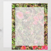 Sedum (Front/Back)