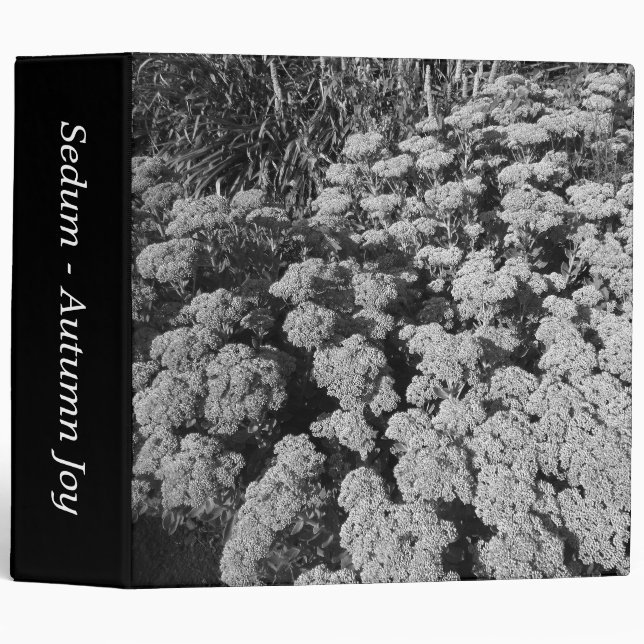 Sedum "Autumn Joy" (B&W) (2in) 3 Ring Binder (Front/Spine)