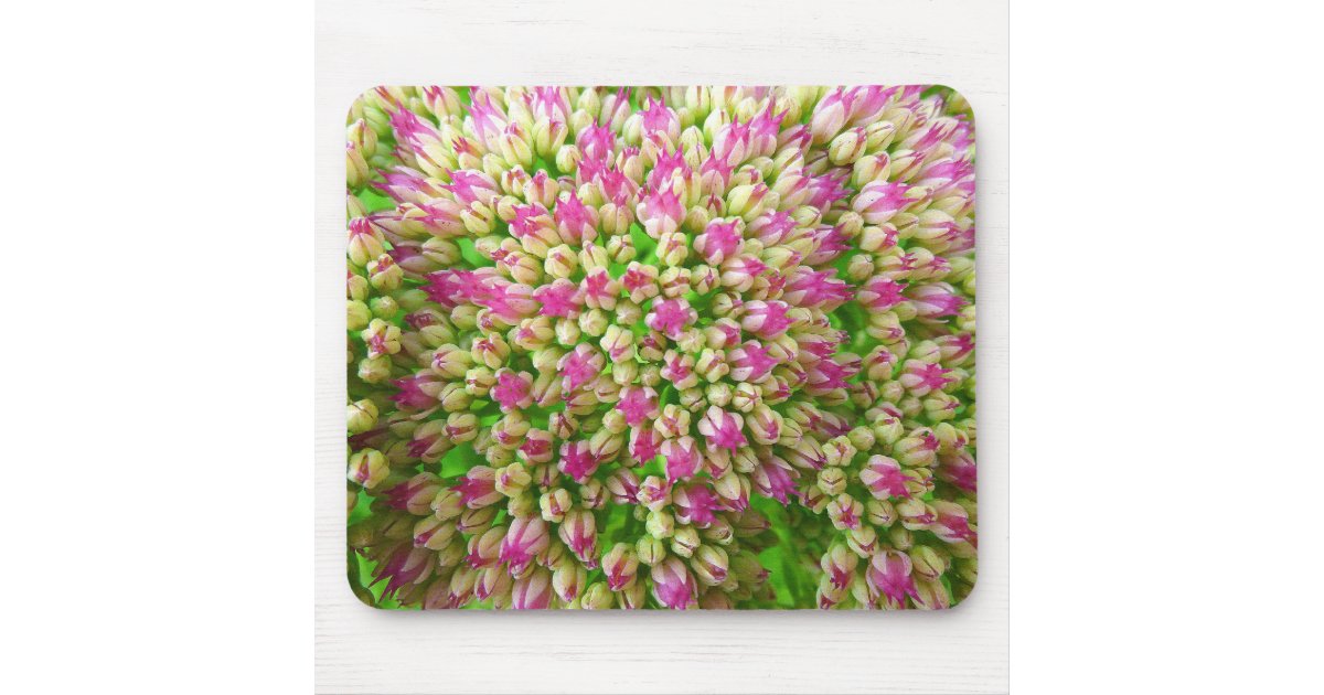 Sedum Autumn Joy Mouse Pad | Zazzle