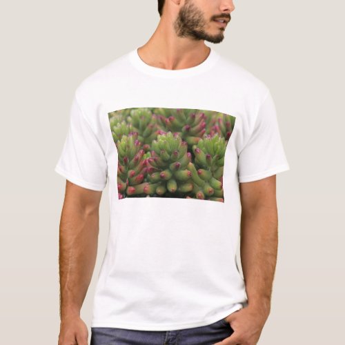 Sedum plant Arizona_Sonora Desert Museum T_Shirt