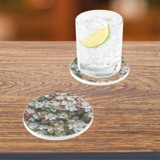 Sedum Spathulifolium Succulent Plants Floral Coaster (In Situ)