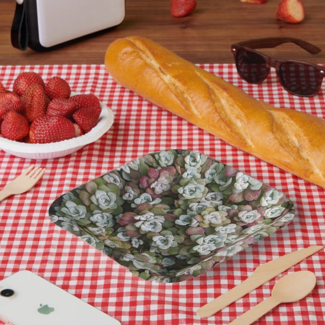 Sedum Spathulifolium Succulents Floral Paper Plates (Picnic)