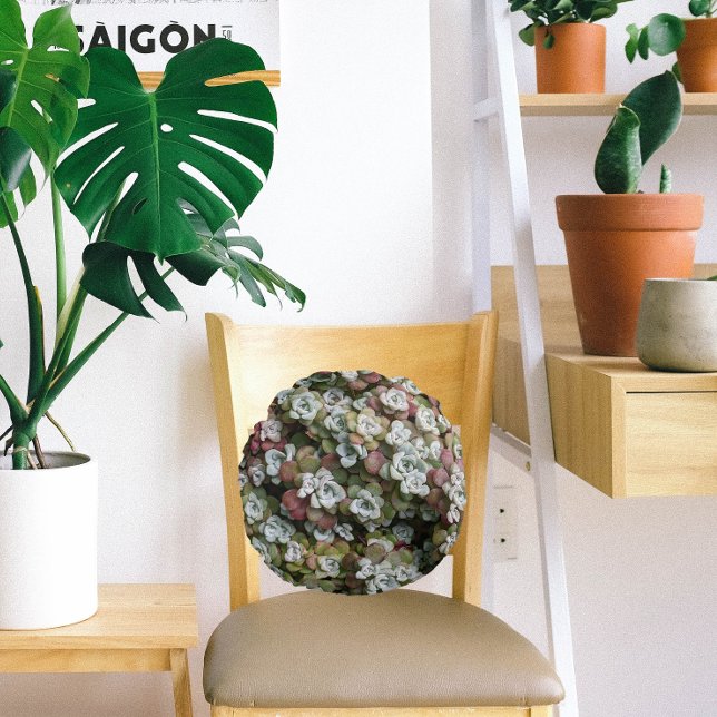 Sedum Spathulifolium Succulents Floral Round Pillow (In Situ Chair)