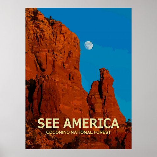 See America Coconino National Forest Poster