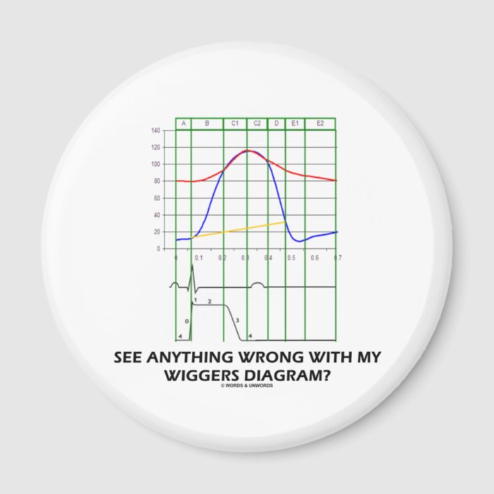 See Anything Wrong With My Wiggers Diagram? Refrigerator Magnets