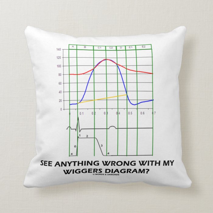See Anything Wrong With My Wiggers Diagram? Throw Pillows