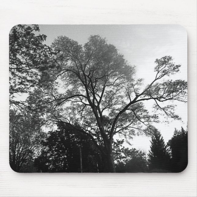 See my Tree Mousepad (Front)