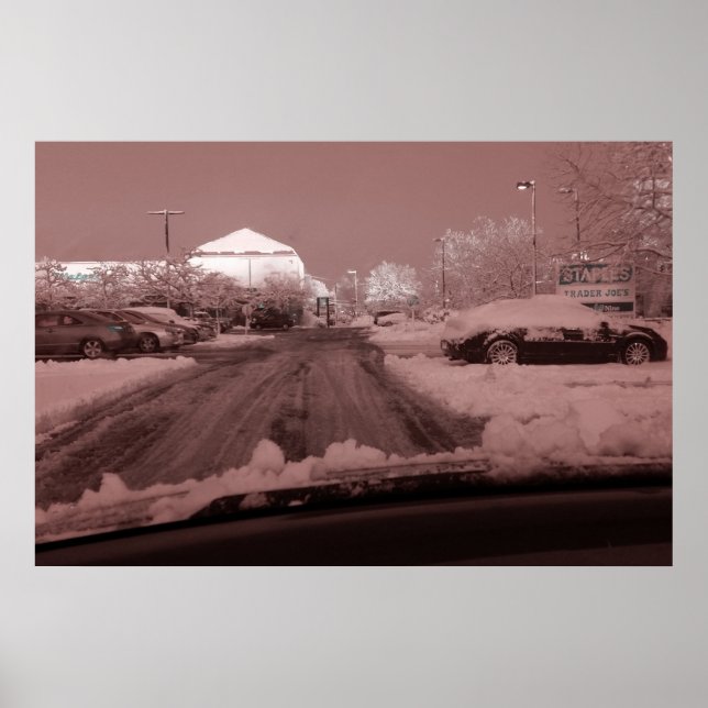 see the world through rose coloered glasses poster (Front)