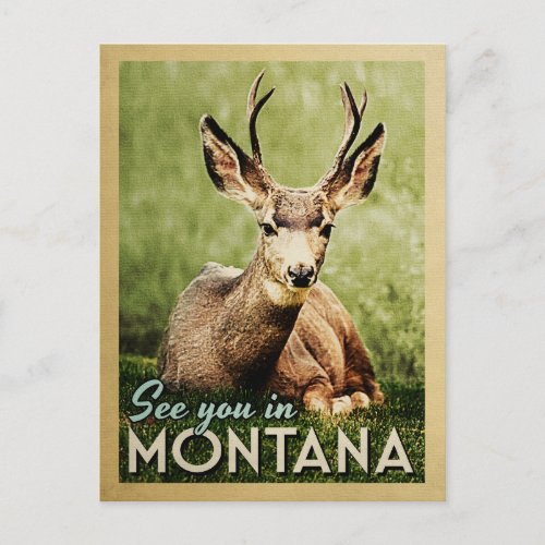 See You In Montana _ Stag Deer Wildlife Postcard