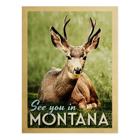 Montana Gifts & T-shirts – Vintage Deer