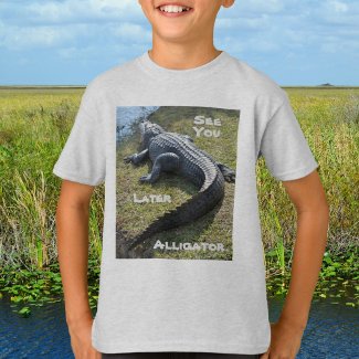 See You Later Alligator Everglades Florida