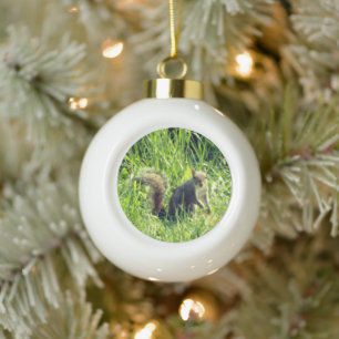 See You Squirrel Ceramic Ball Ornament
