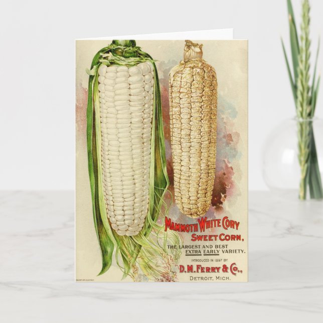 Seed Catalog Cover - Corn Card (Front)