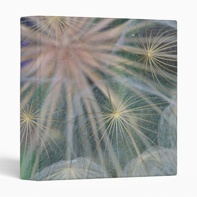 Seed Head Design | Gennesse, Idaho Binder (Front/Spine)