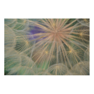 Seed Head Design Gennesse, Idaho Wood Wall Art