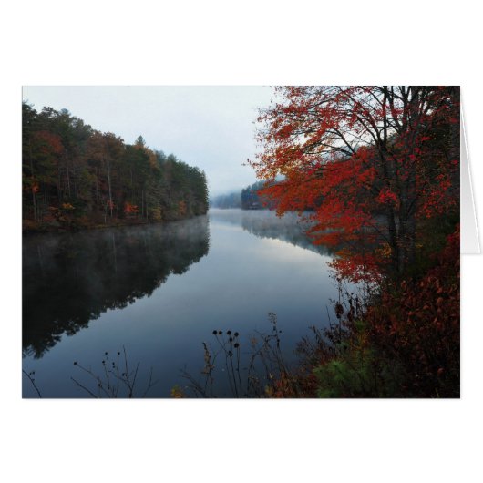 Seed Lake Cards (Front Horizontal)