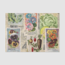 Seed Packet Collage