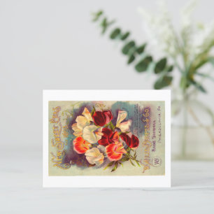 Seed Packet Postcard. Postcard