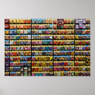 Seed Packet Poster