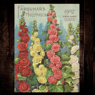 Seed Packet Red Orange 1902 Hollyhocks Vintage Tissue Paper