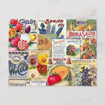Seed Packets Postcard by Garden_Miester at Zazzle