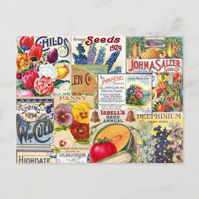 Seed Packets Postcard (Front)