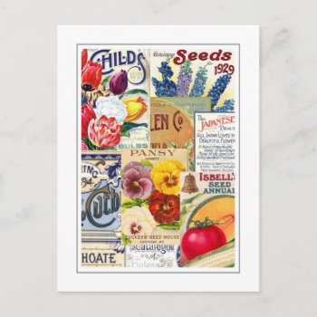 Seed Packets Postcard by Garden_Miester at Zazzle