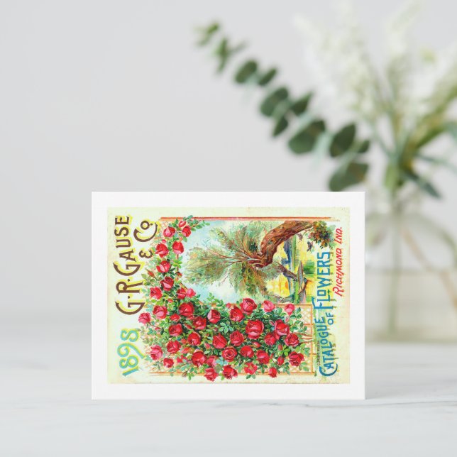 Seed Packets.  Postcard (Standing Front)