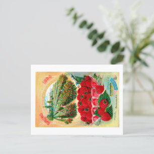 Seed Packets. Postcard