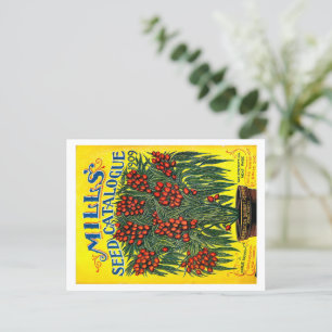 Seed Packets. Postcard