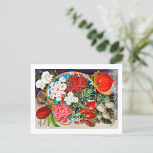 Seed Packets. Postcard