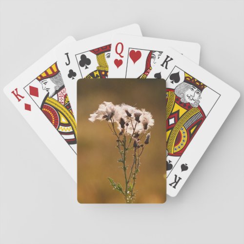 Seed Pods Bicycle Playing Cards