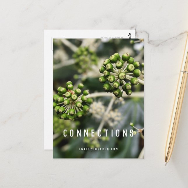 Seed Pods - Manifest Connections Postcard (Front/Back In Situ)