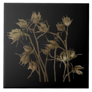 Seed Pods on a Ceramic Tile